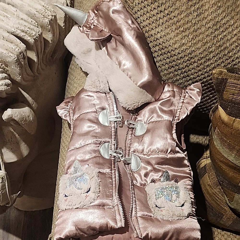 Pink Unicorn Hooded Vest for Kids